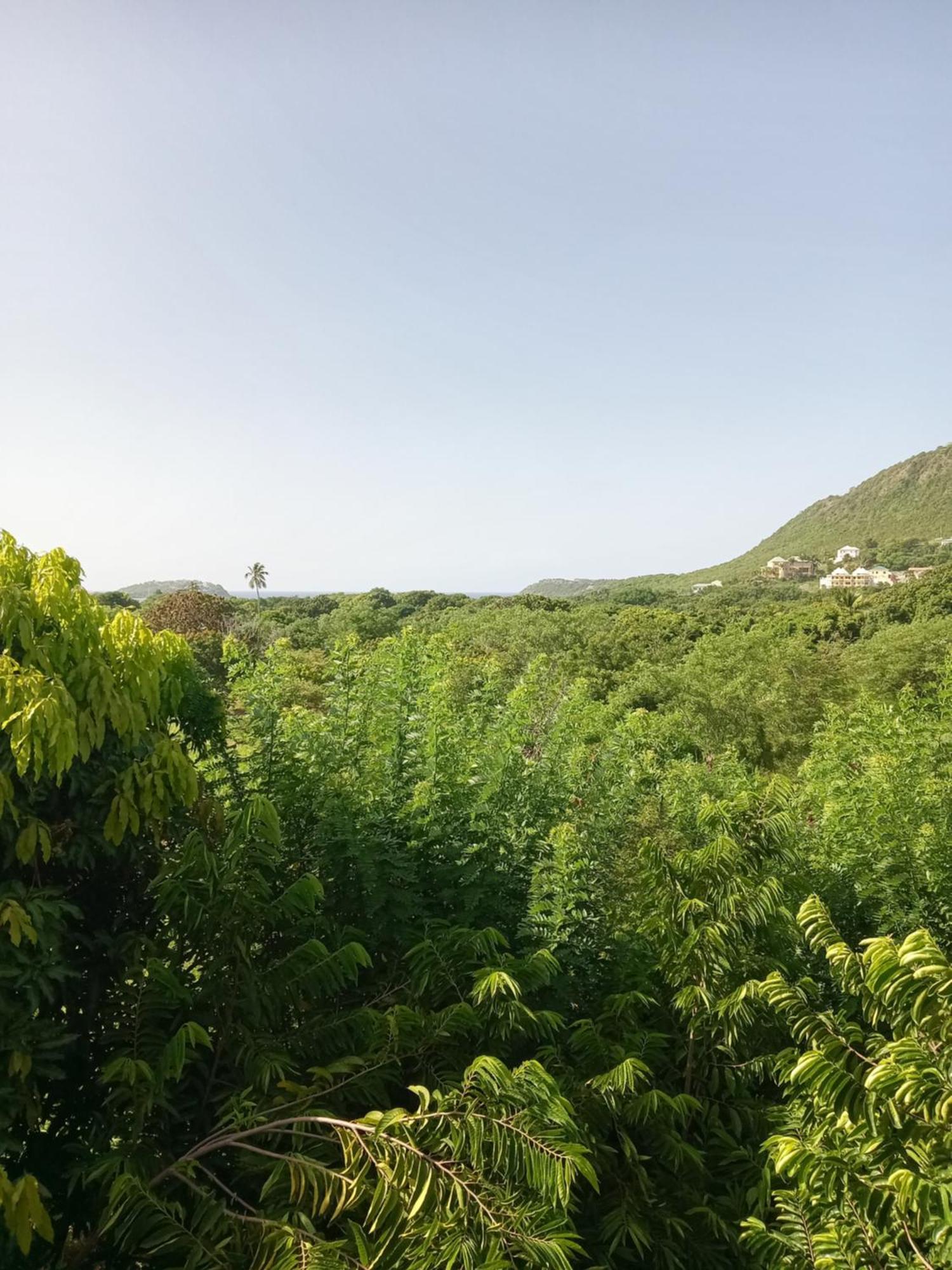 Apartment Unforgetable Gardens Falmouth Harbour Экстерьер фото