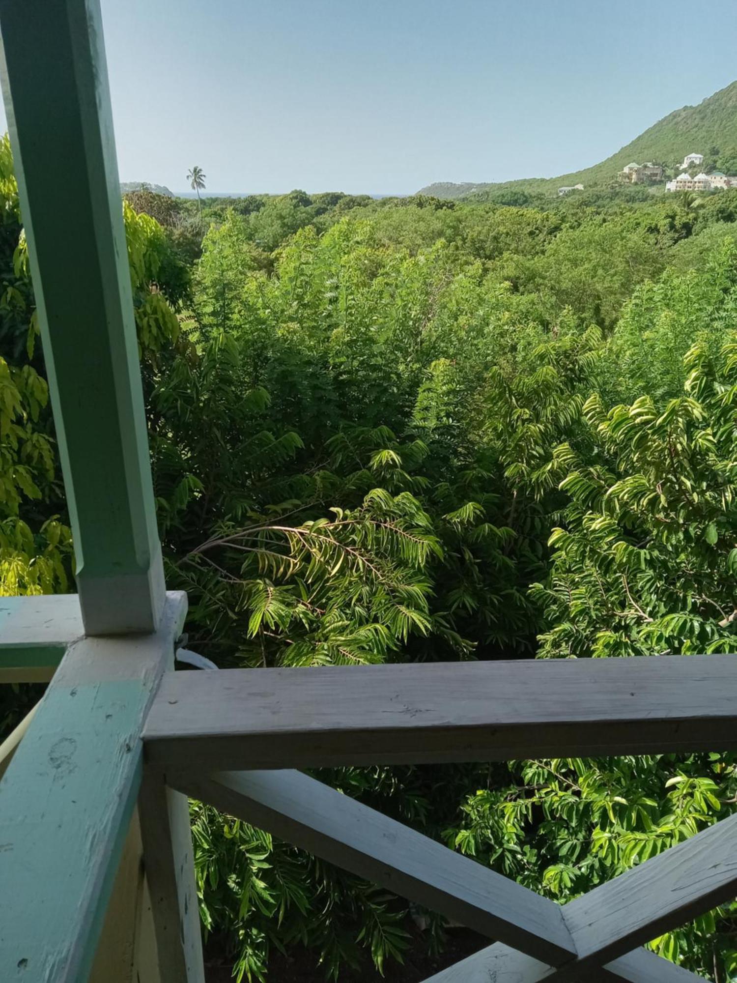 Apartment Unforgetable Gardens Falmouth Harbour Экстерьер фото
