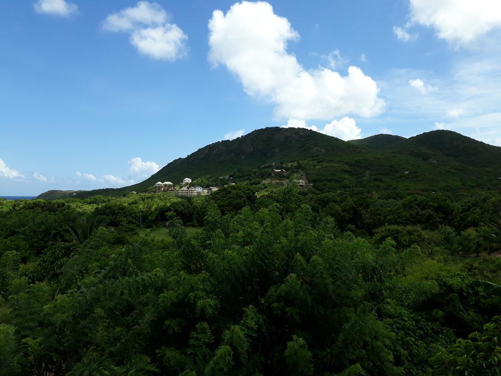 Apartment Unforgetable Gardens Falmouth Harbour Экстерьер фото